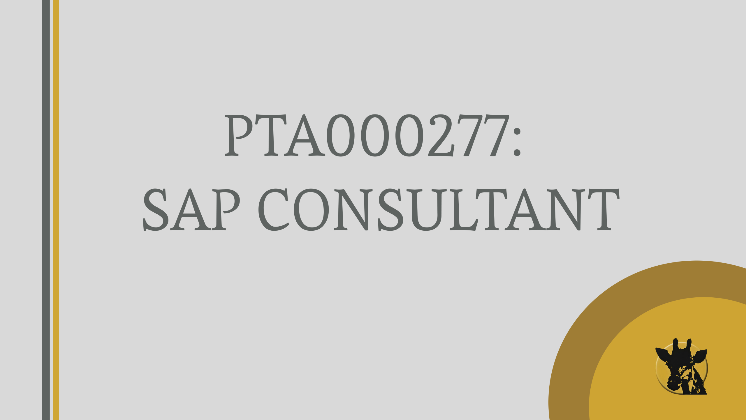 SAP Business Analyst consultant 