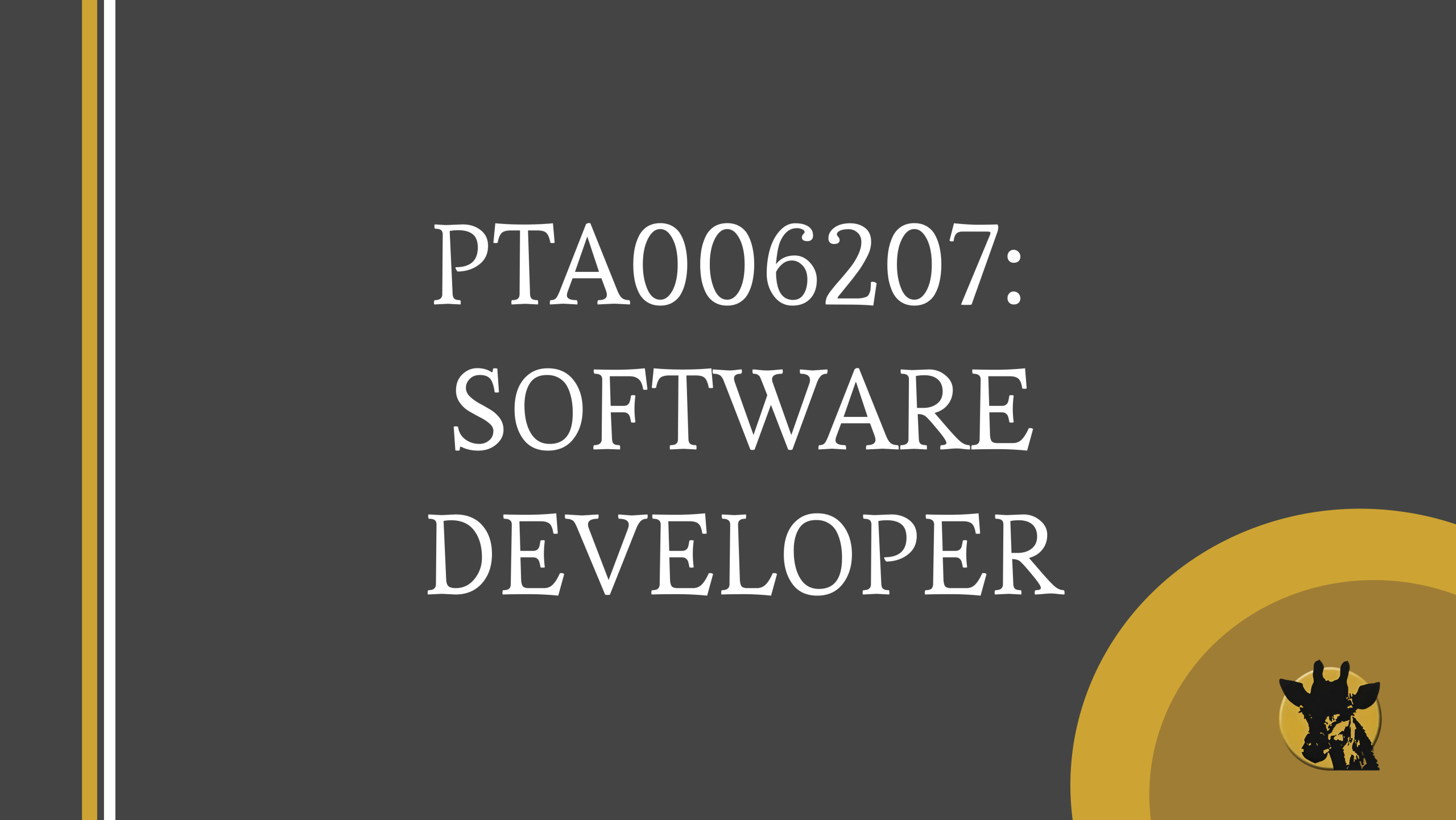 Software Developer